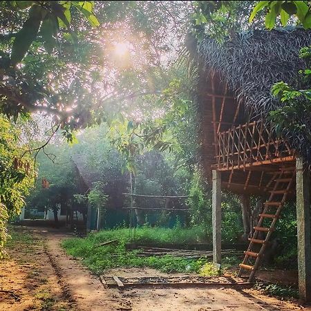 Art Forest Puducherry Zewnętrze zdjęcie