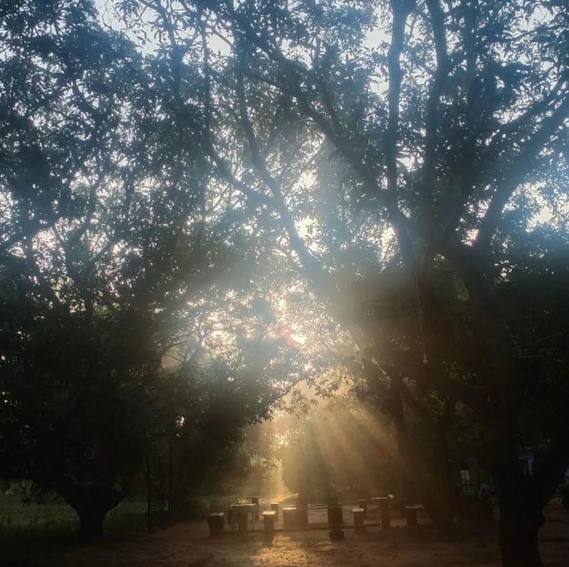 Art Forest Puducherry Zewnętrze zdjęcie