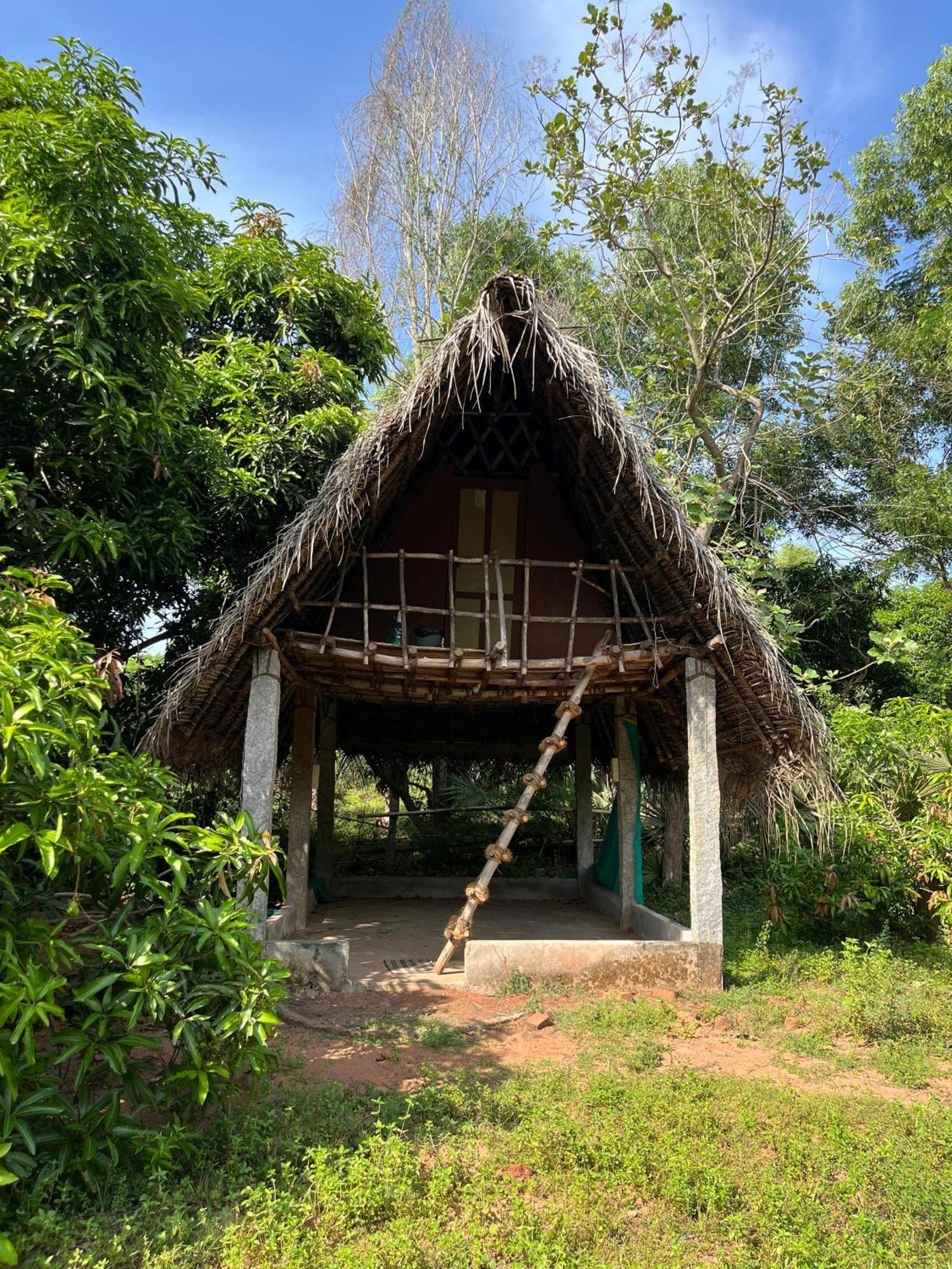 Art Forest Puducherry Zewnętrze zdjęcie