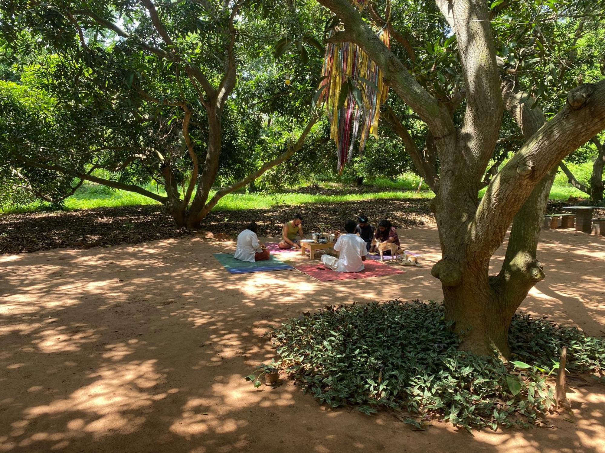 Art Forest Puducherry Zewnętrze zdjęcie
