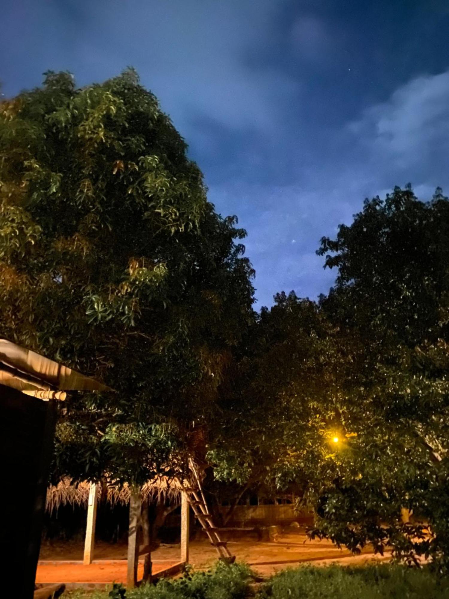 Art Forest Puducherry Zewnętrze zdjęcie